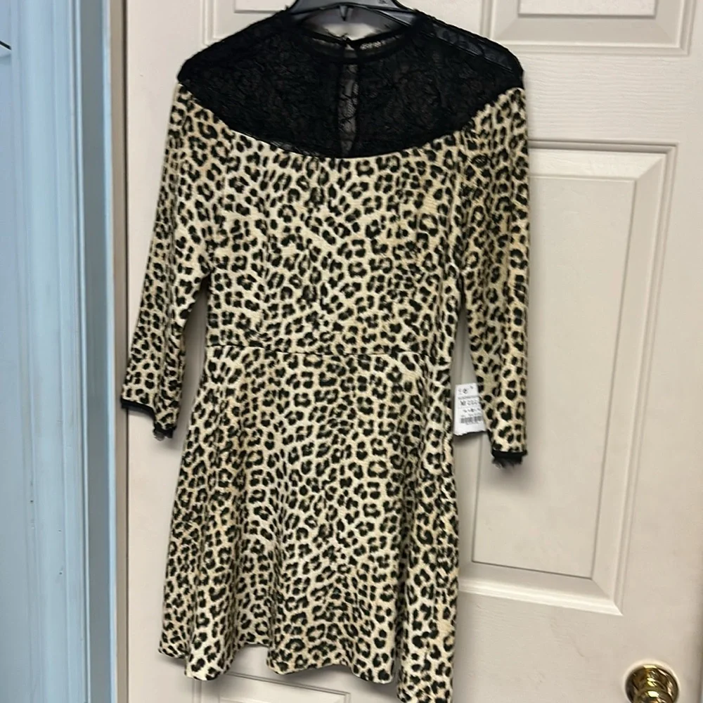 Zara Basic Collection medium Dress - Picture 4 of 8